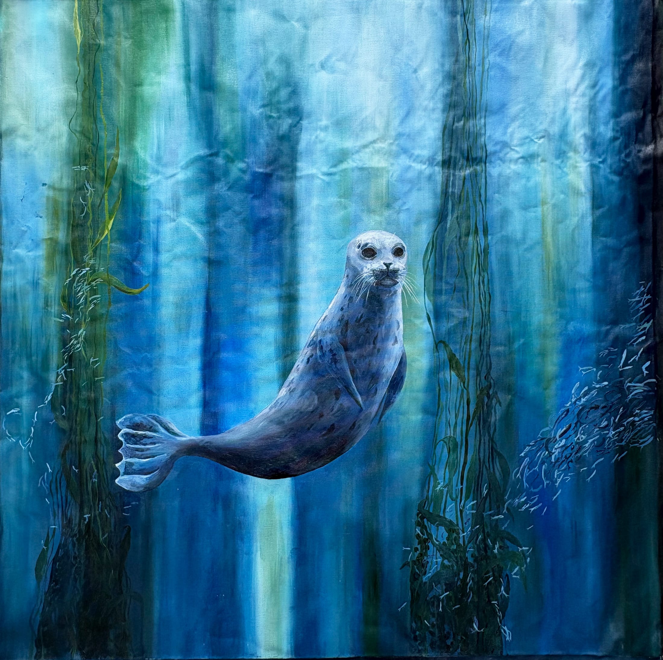 Seal Pup