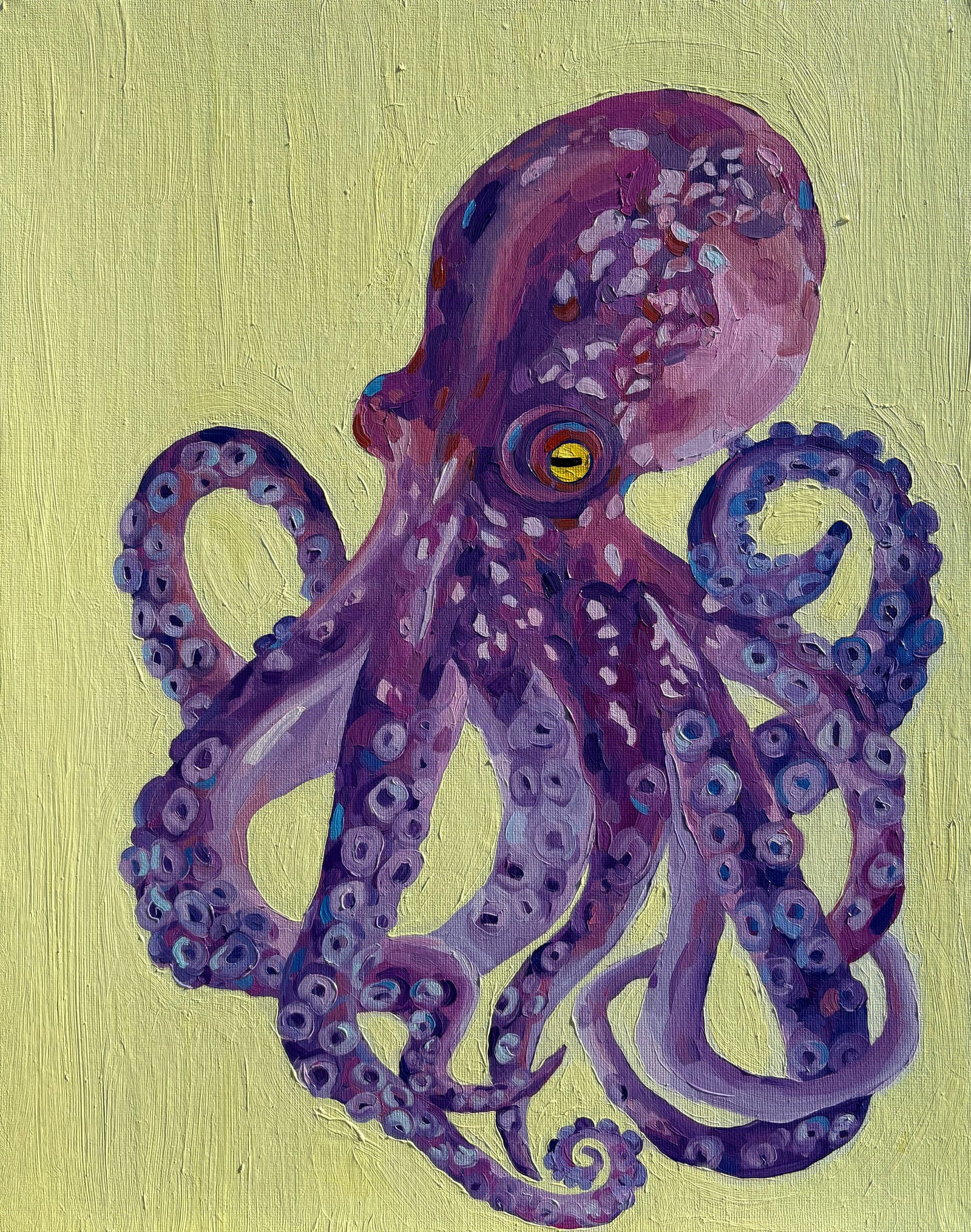 The Octopus Study