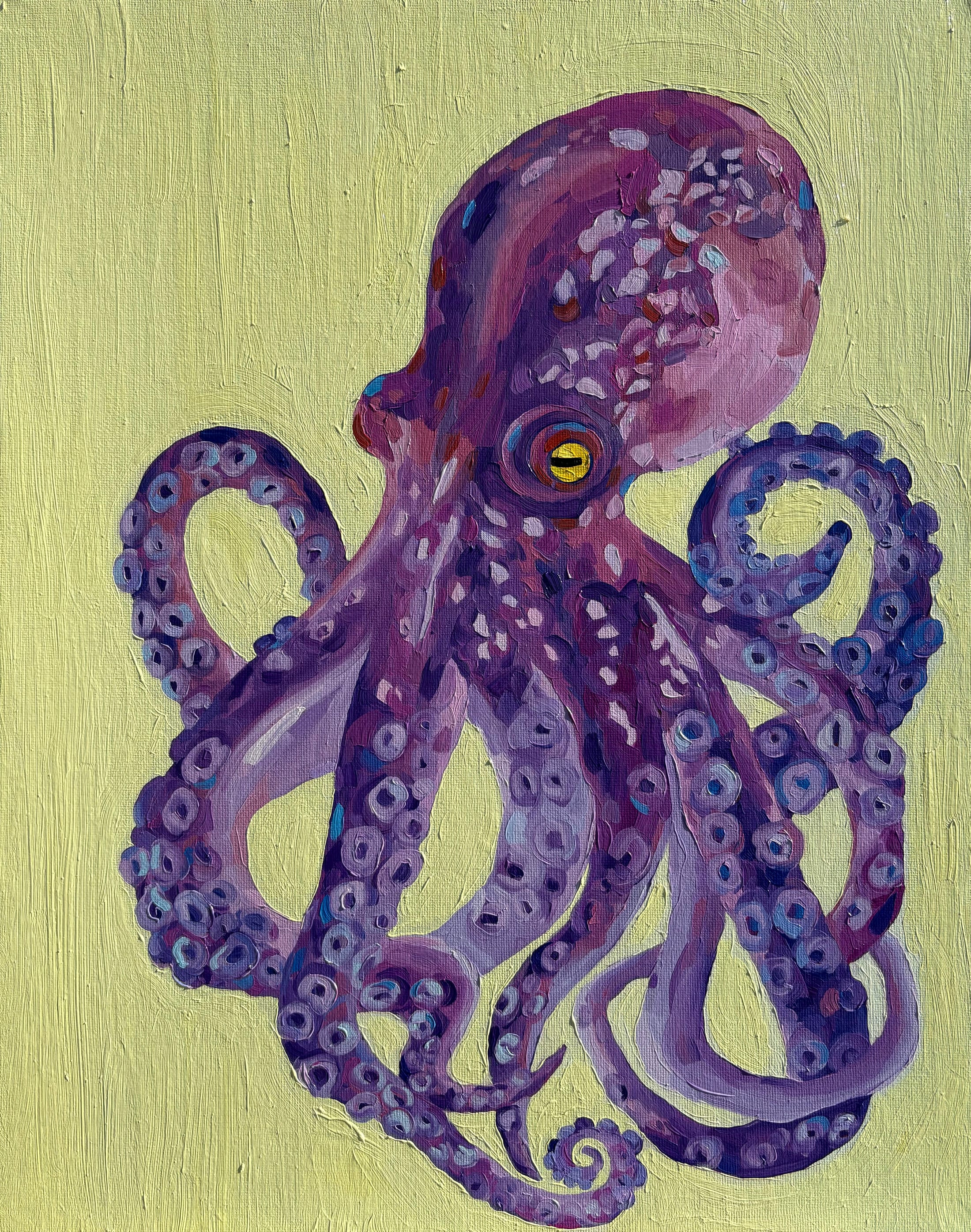The Octopus Study